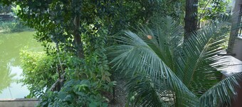 Hibiscus Chandannagar, A home for all.