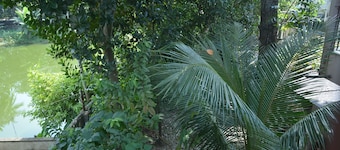 Hibiscus Chandannagar