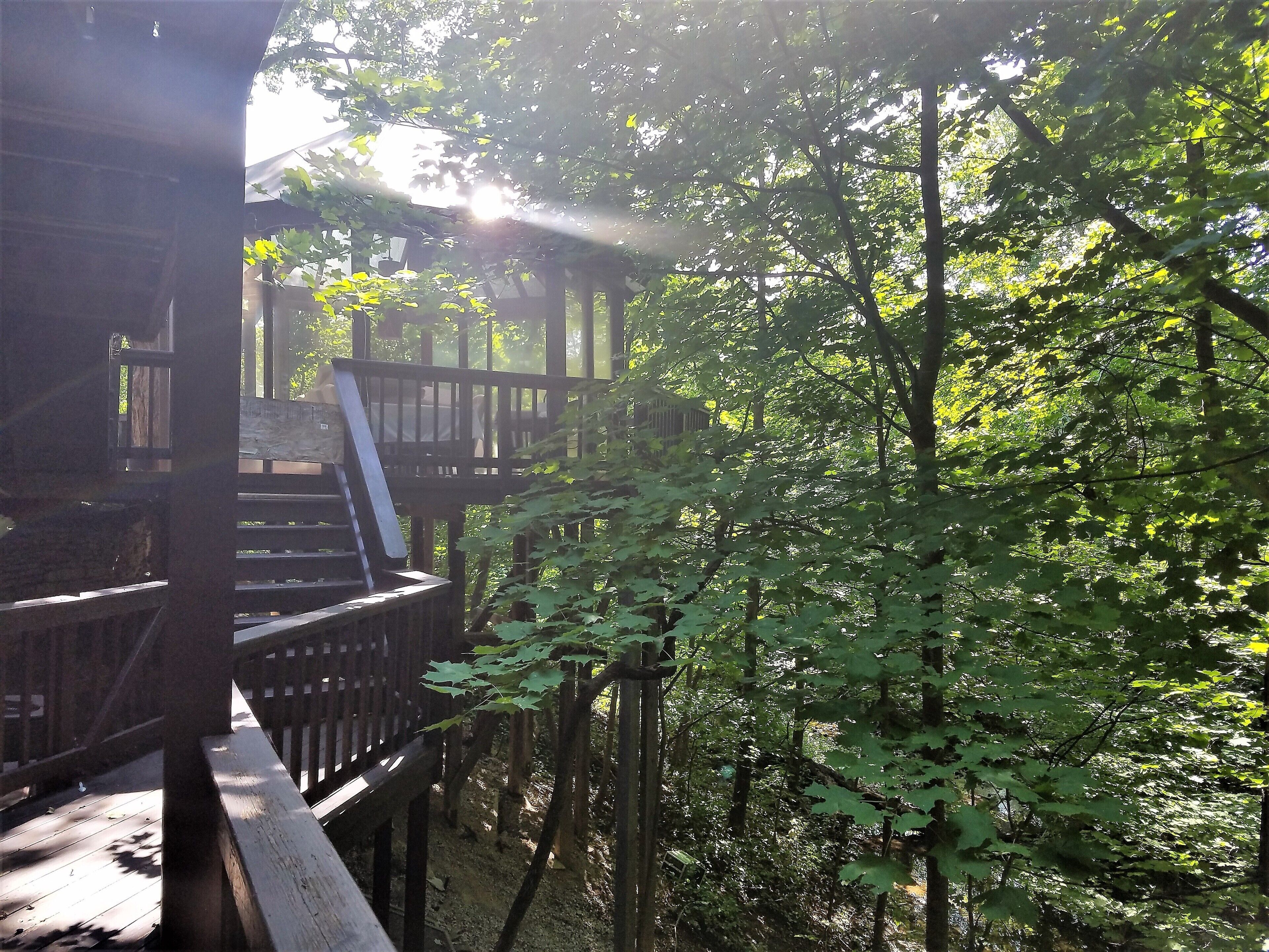 A wooden deck with a staircase leading to a covered area, surrounded by dense green foliage.