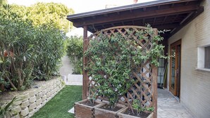 Unclassified image, 5 of 20, button - M225 - Marcelli, new one bedroom apartment with garden (Marcelli)