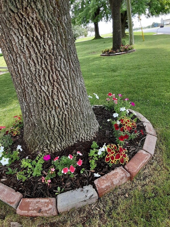 Exterior detail - Our home is minutes from the Twin Cities and Rochester (Kenyon)