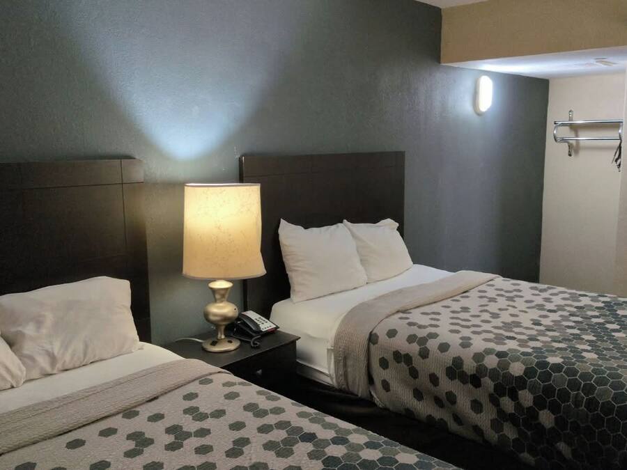A hotel room with two beds, a bedside table with a lamp, and a mirror.