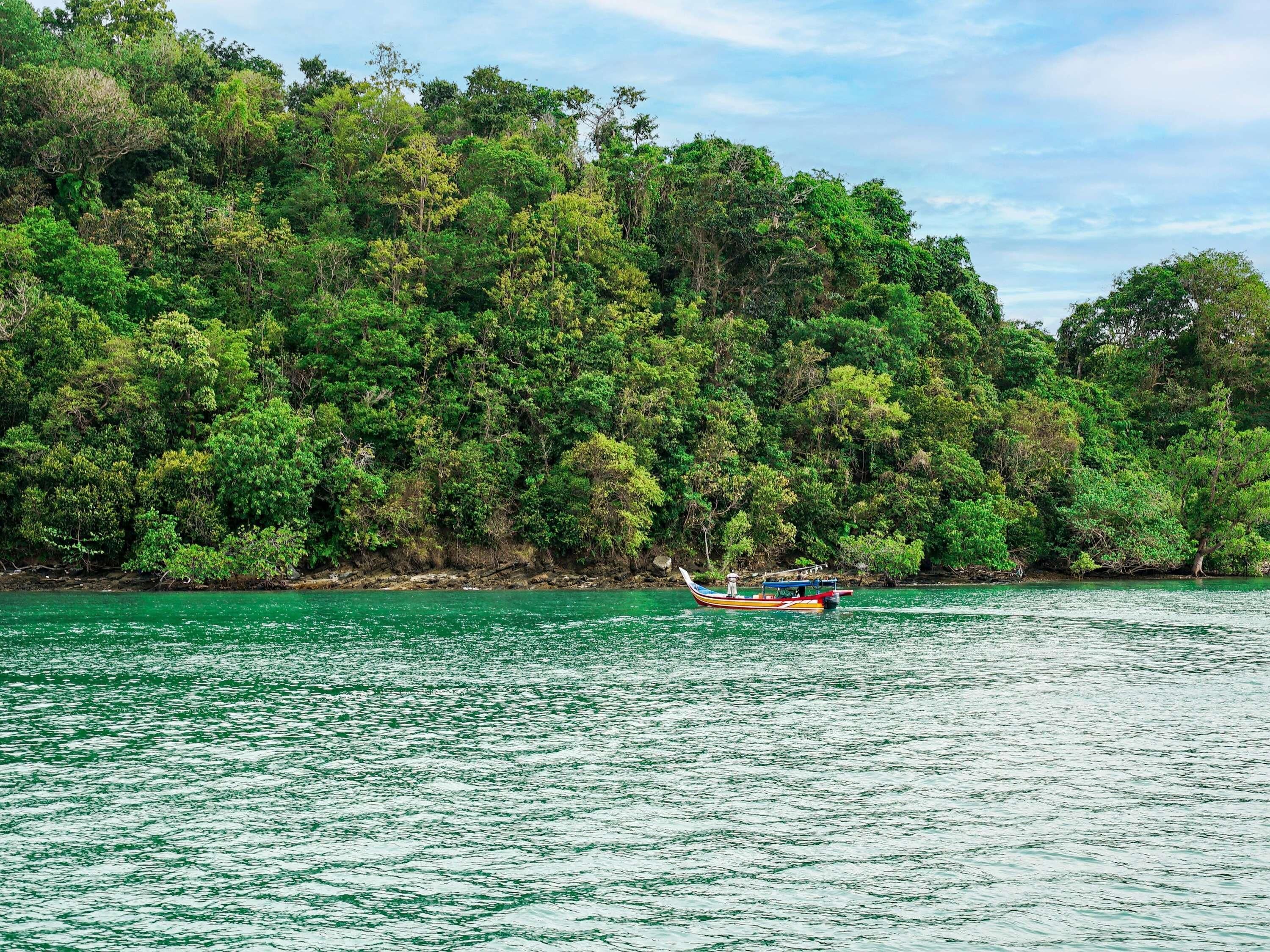 A boat on a calm body of water with dense green foliage in the background.