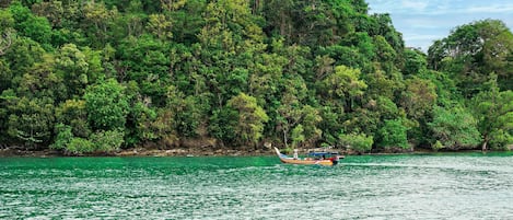 Un bote sobre aguas tranquilas con abundante follaje verde al fondo.