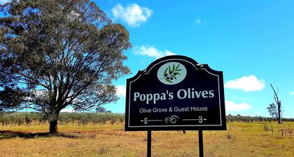Poppa's Place @ Dalwood, Hunter Valley Vineyards Farmstay