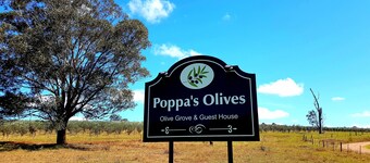 Poppa's Place @ Dalwood, Hunter Valley Vineyards Farmstay
