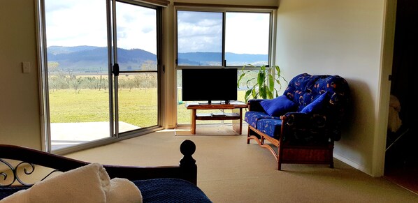 Smart TV, fireplace, DVD player, books