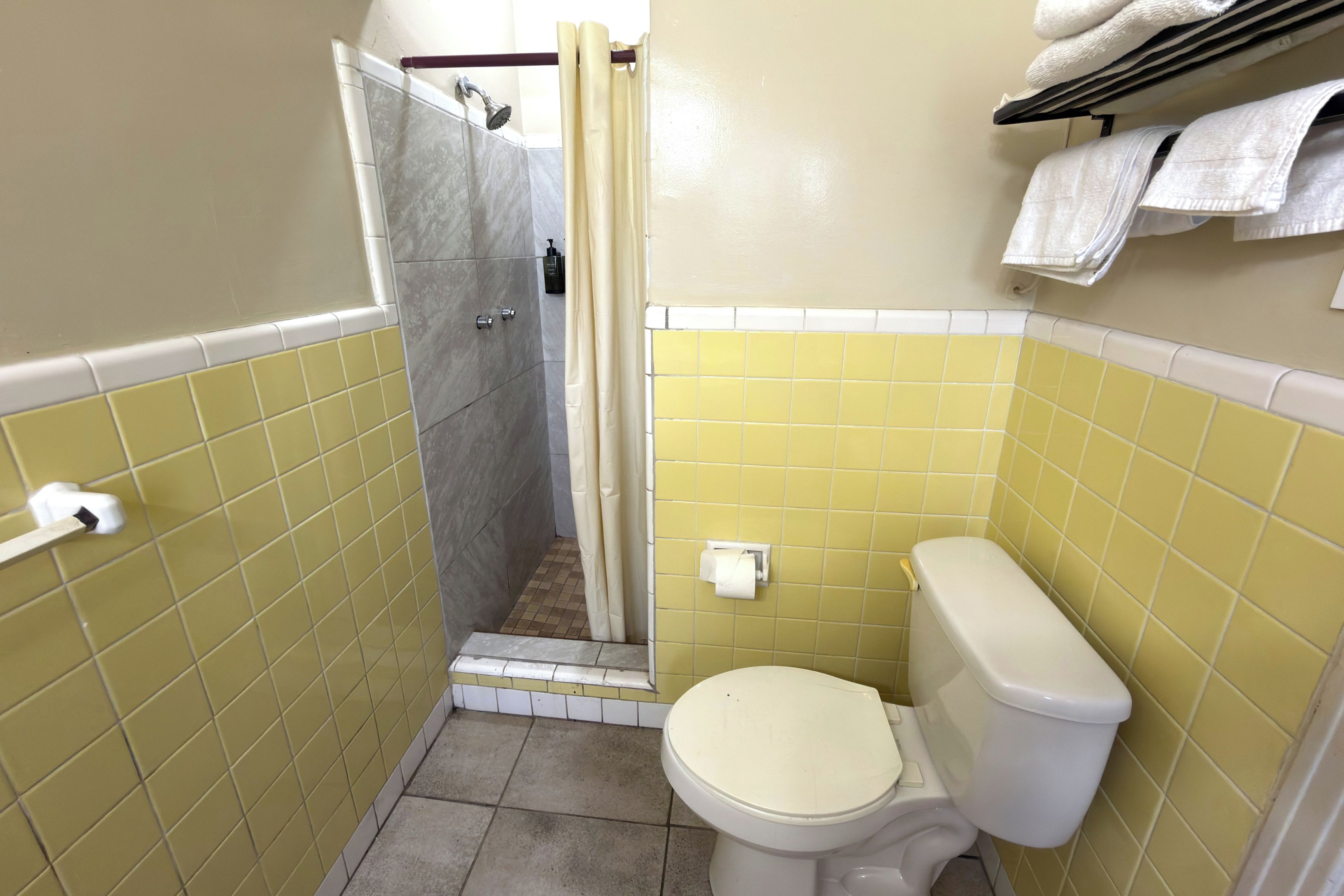 A bathroom with a toilet, a shower, and a towel rack.