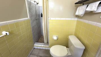 A bathroom with a toilet, a shower, and a towel rack.