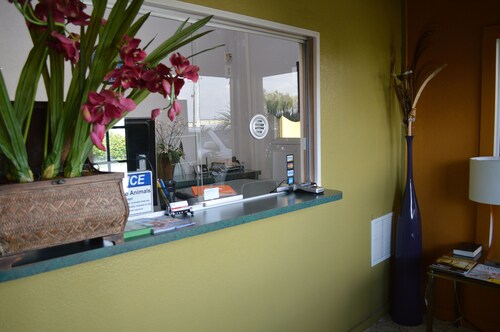 Tropicana Motel Wauchula