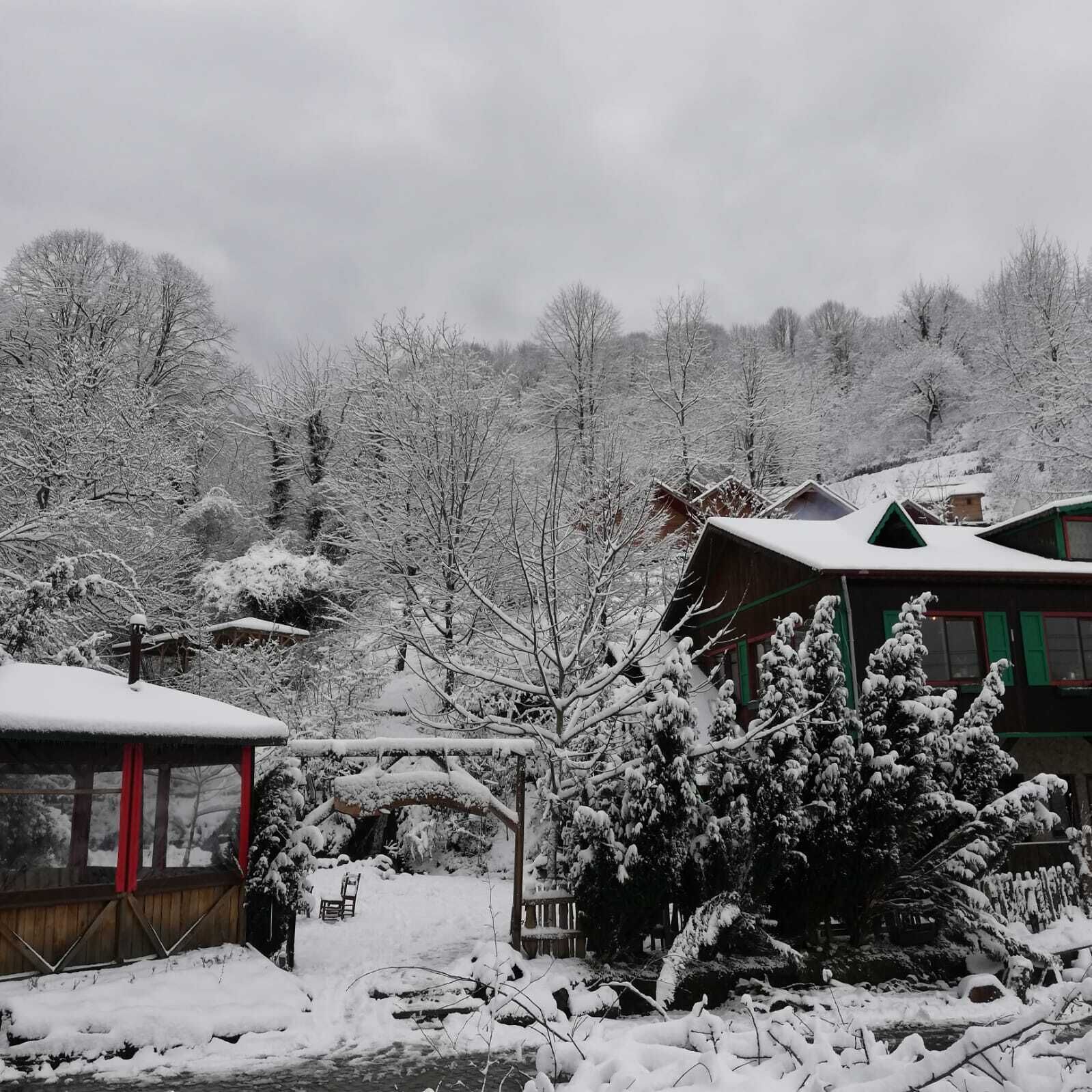 Une cabane dotée d’une terrasse en bois et d’un espace salon abrité, entourée d’arbres couverts de neige et traversée par un petit ruisseau.