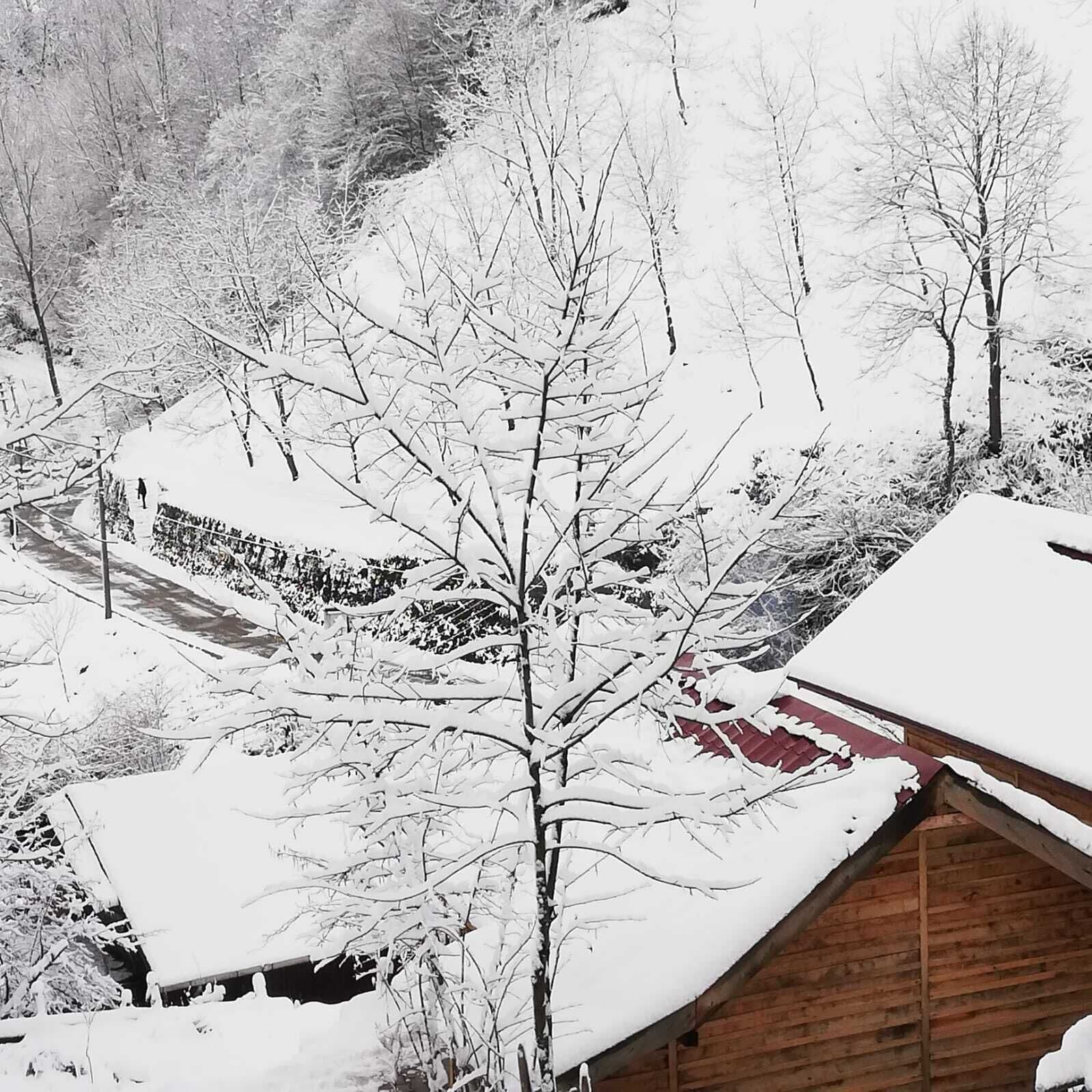Et sneklædt landskab med en træhytte og nøgne træer.