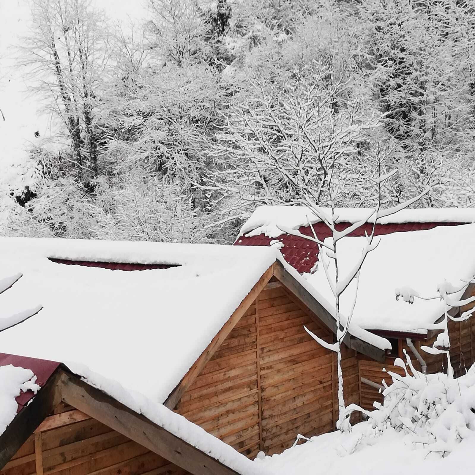 A wooden cabin with a sloped roof covered in snow, surrounded by snow-covered trees.