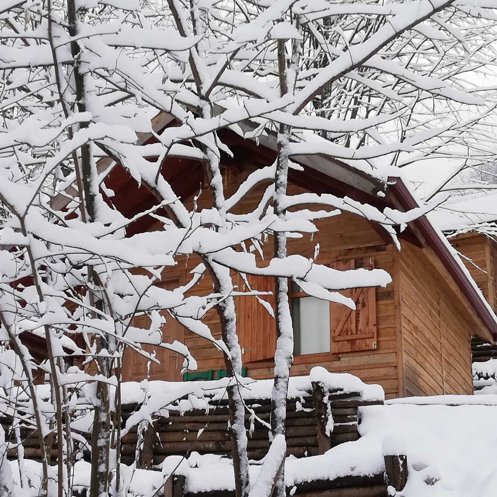 A wooden cabin with a sloped roof, surrounded by snow-covered trees.