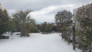 Ein schneeüberzogener Garten mit verschiedenen Pflanzen und einer Straßenlaterne.