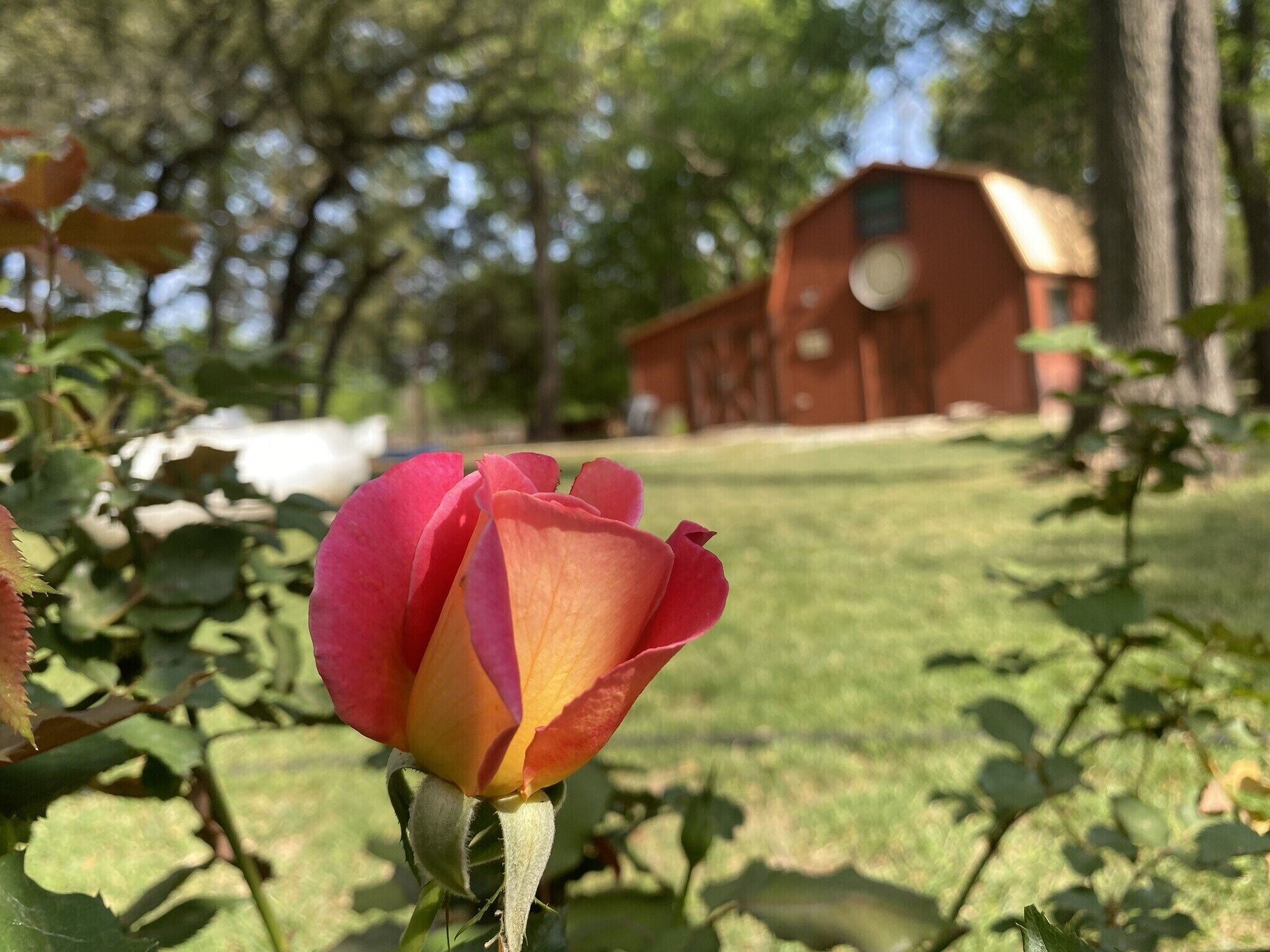 Come explore our Rustic cabin, & trails!