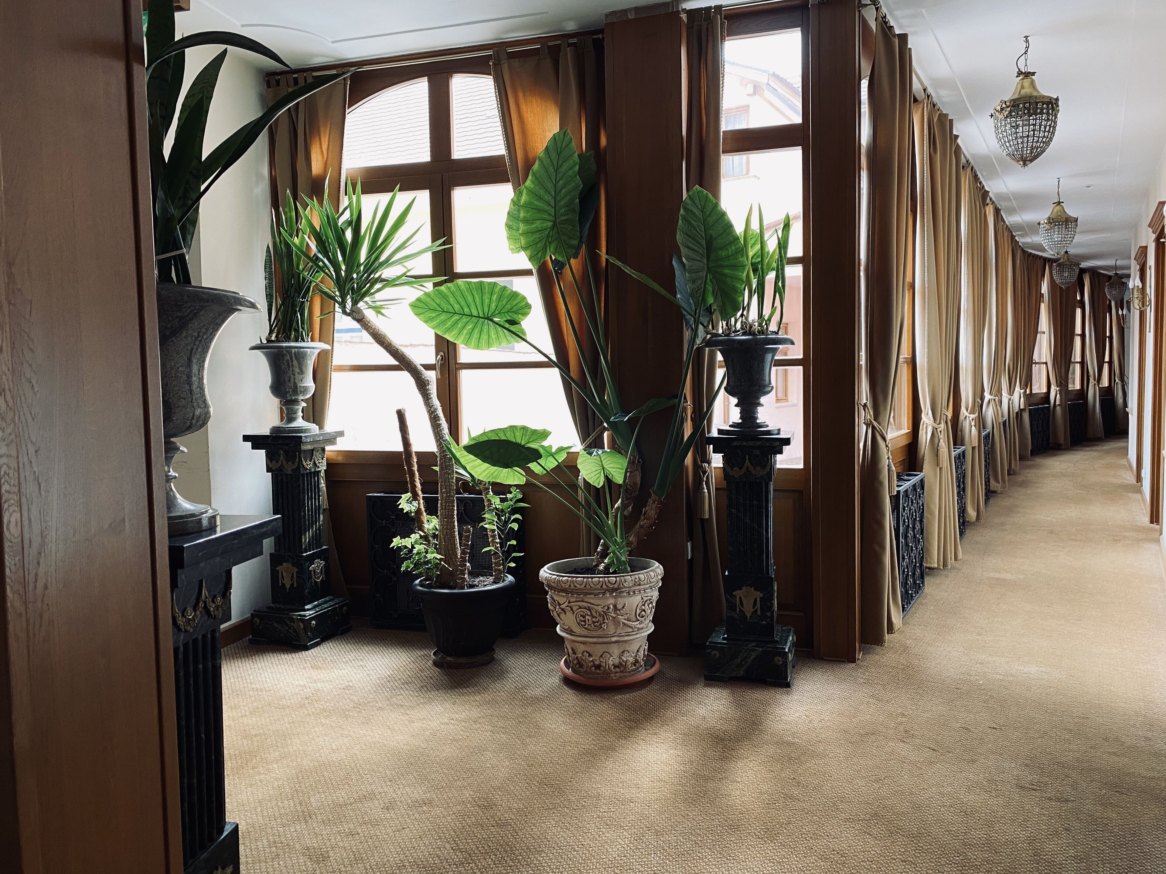 A hallway with potted plants, wooden columns, and a carpeted floor.