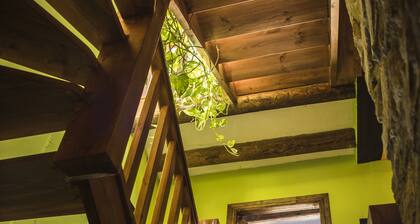 Casa Rural en Ordesa. Pirineo Aragonés.