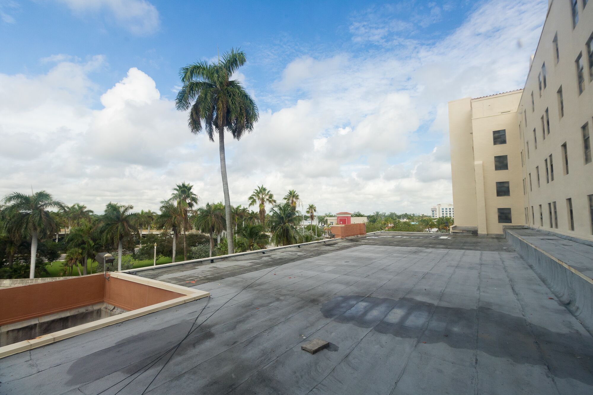 A rooftop terrace with a palm tree, a building with multiple windows, and a clear sky.