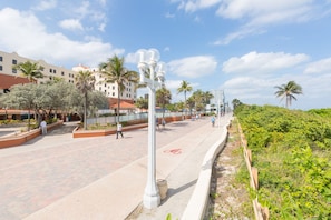 A paved walkway with a bicycle lane, palm trees, and buildings in the background.