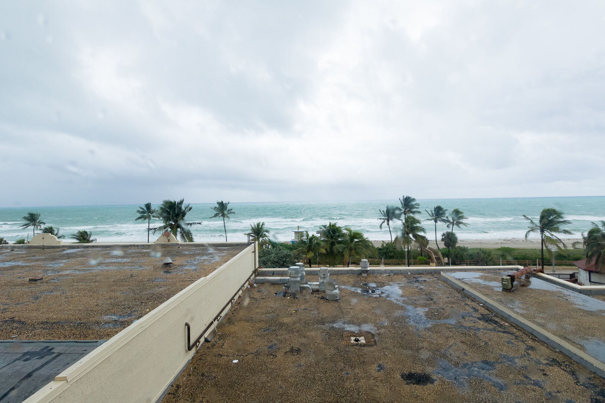 Vista de una playa con palmeras y cielo nublado.