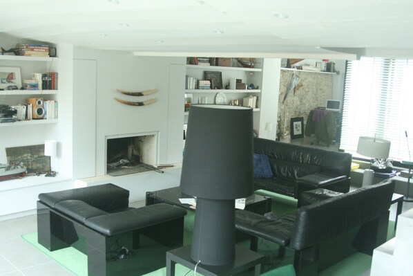 TV, fireplace, books, music library