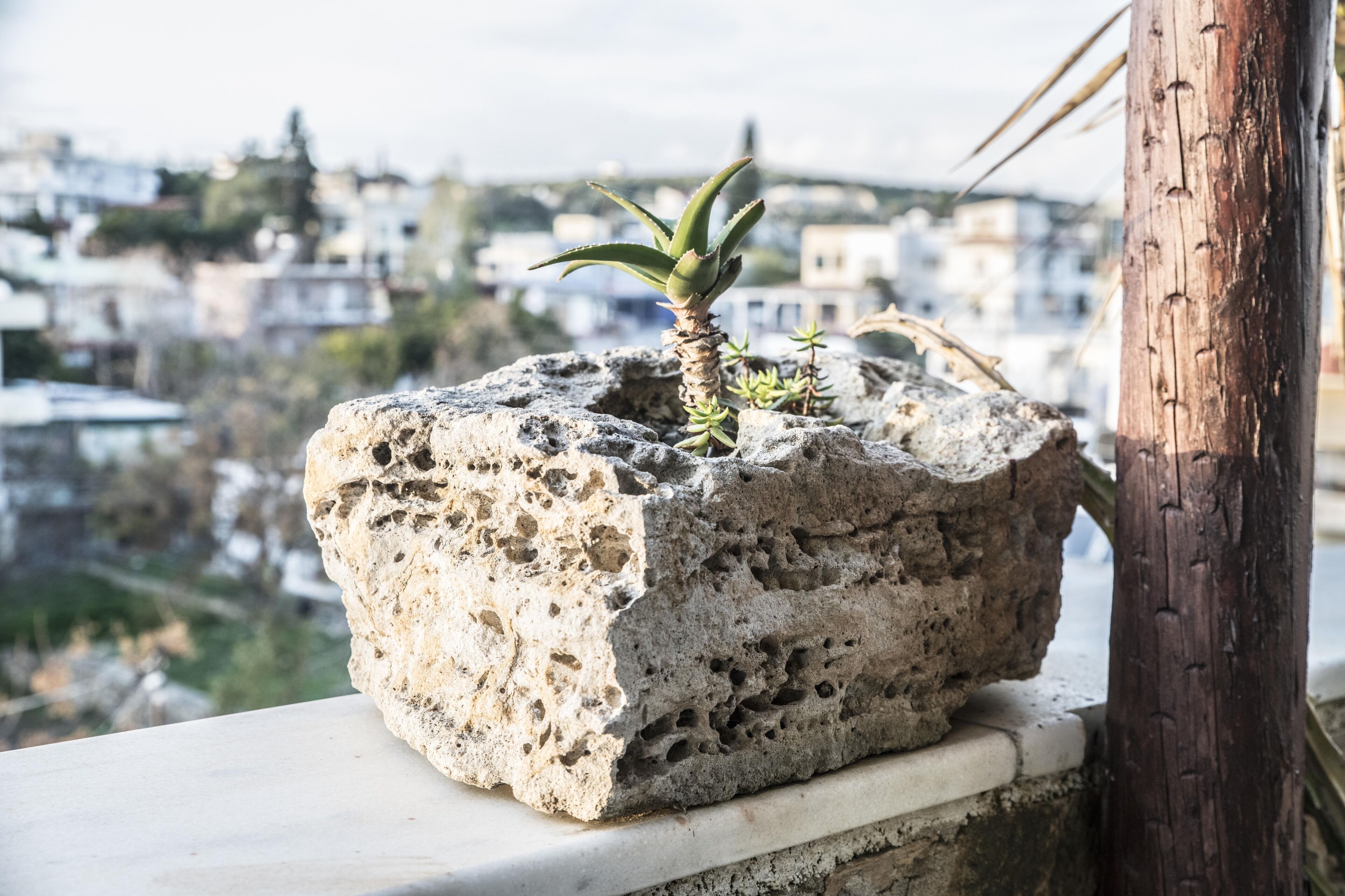 A stone planter with a small plant on a balcony overlooking a cityscape.