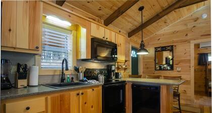 Creekside-hirsimökki lähellä Pisgah-metsää