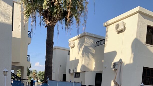 A swimming pool with blue water, surrounded by white buildings, palm trees, and blue lounge chairs. - Seashell Apartments (Paphos)