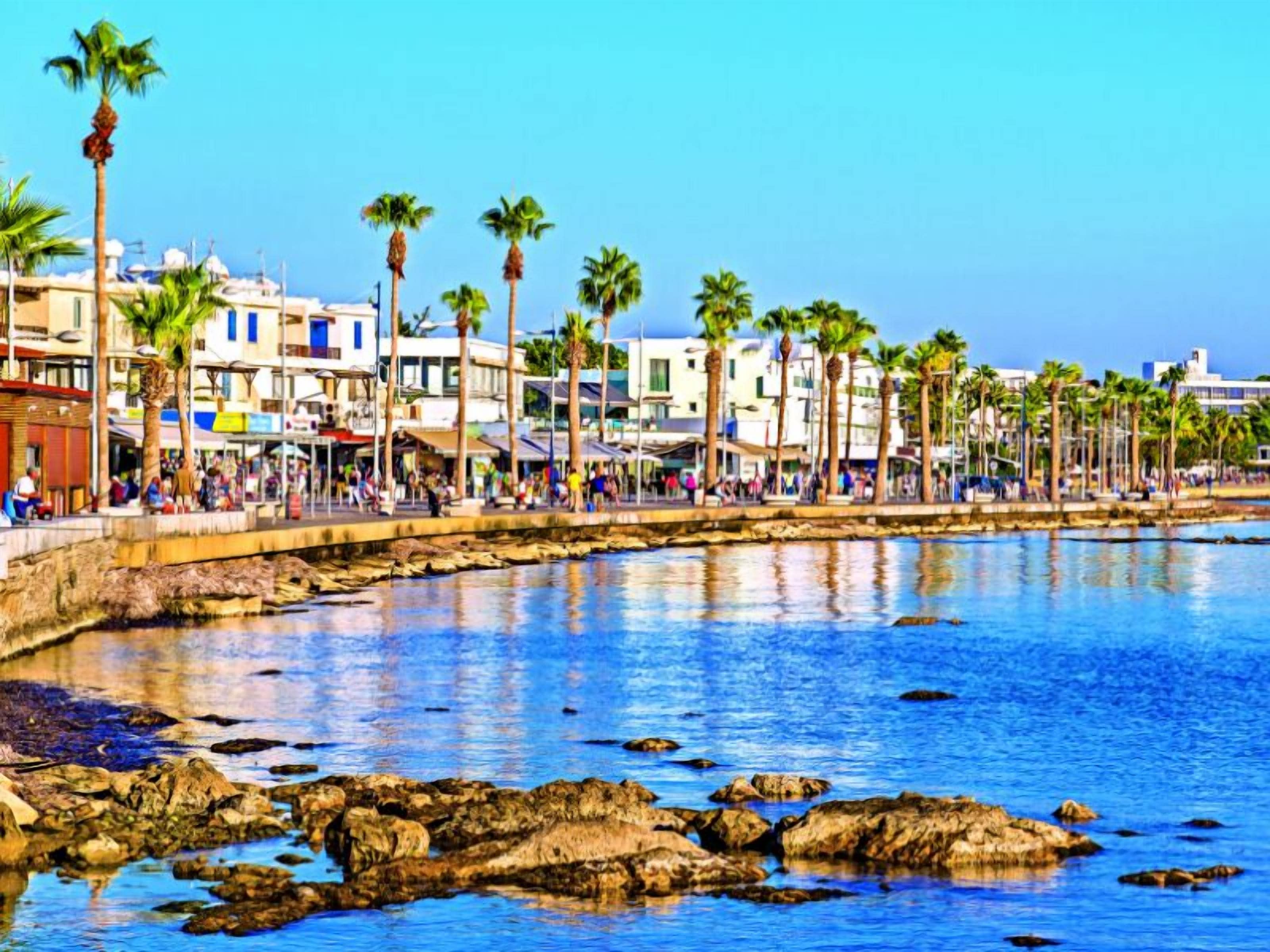 A coastal promenade with palm trees, a rocky shoreline, and buildings along the water.