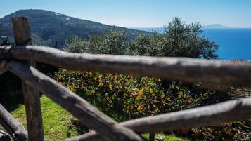 Apartment, 2Â Schlafzimmer, Terrasse, Meerblick | Strand-/Meerblick