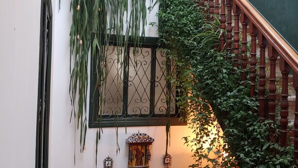 A staircase with a wooden railing, surrounded by lush greenery and hanging plants. - El Bordón de la Casa Batallón (Sarria)