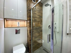 Ducha, secador de pelo, toallas y papel higiénico