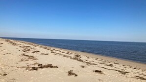 Una playa con arena y algas marinas, bajo un cielo azul despejado.