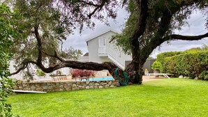 A backyard with a large tree, a stone wall, and a white house with a pool and patio furniture. - Anchor's Rest Hermanus (Hermanus)