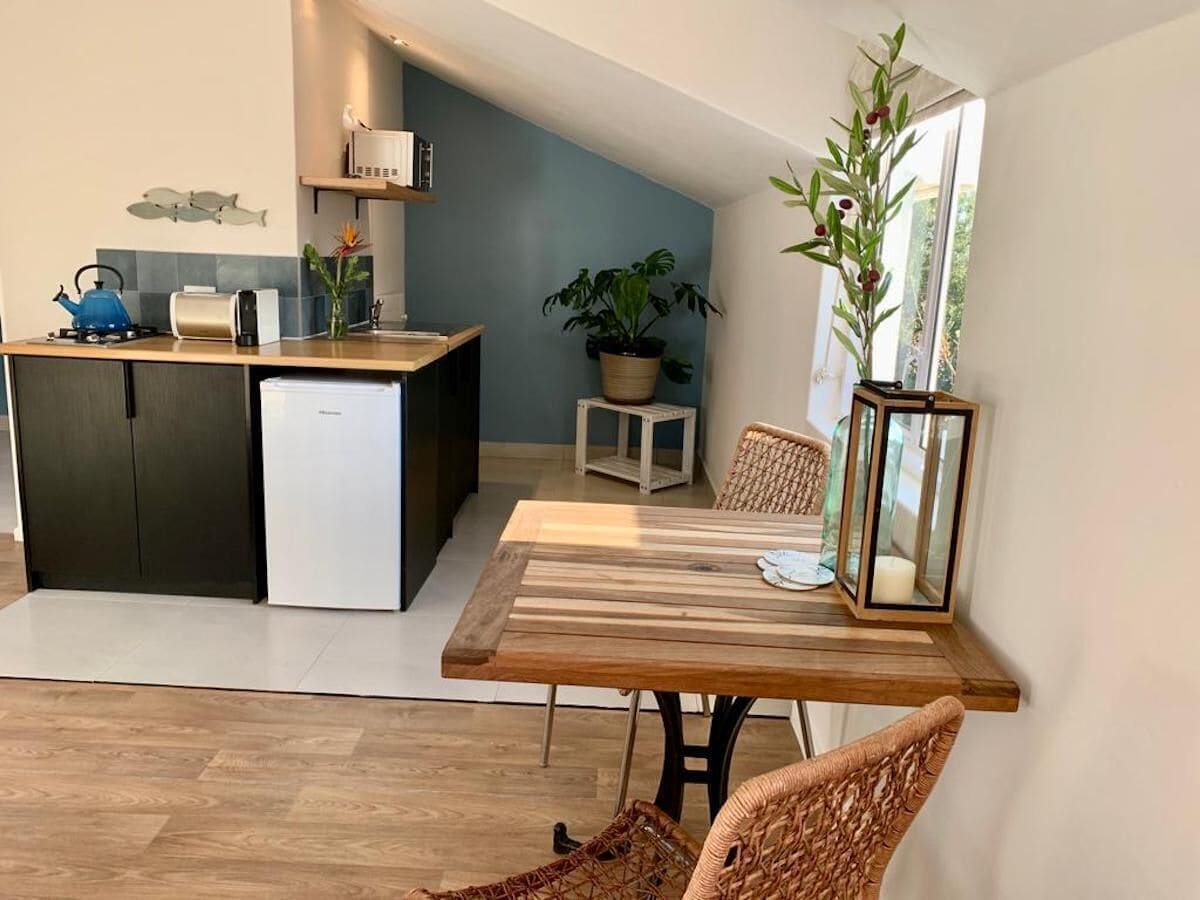 A modern kitchen with a dining area, a potted plant, and a view of the outdoors.