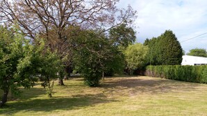 Un espacio al aire libre con césped, árboles y un edificio blanco al fondo.