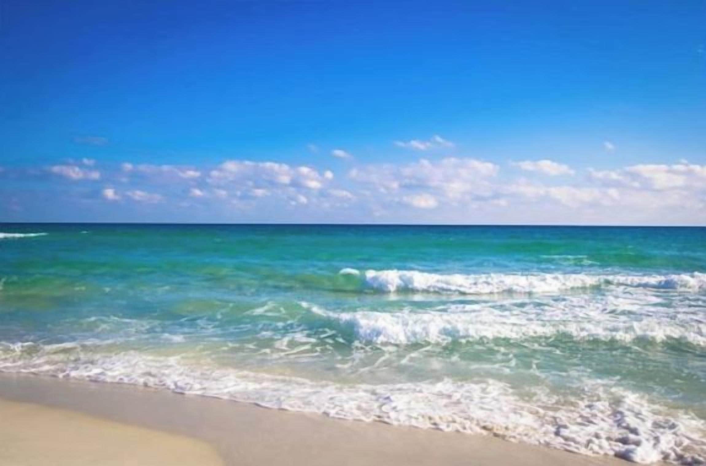 Ein Strand mit klarem, blauem Wasser und einem sandigen Ufer.