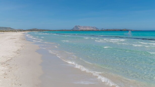 A beach with clear turquoise water, a sandy shore, and distant mountains under a clear blue sky. - Lovely apartment in villa for 6 guests with A/C, pool, TV and terrace (San Teodoro)
