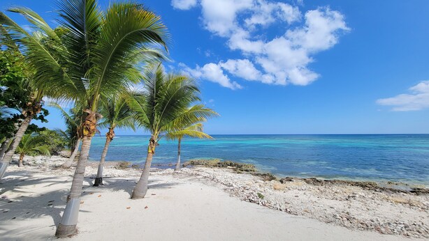 A beach with white sand, palm trees, and clear blue water under a bright sky.