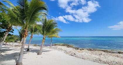 Toes in the Sand Beach Front Condo in Bodden Town
