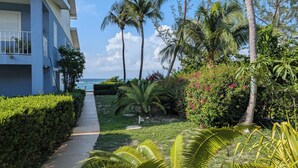 A pathway leading to a building with a view of the ocean, surrounded by palm trees and tropical plants.