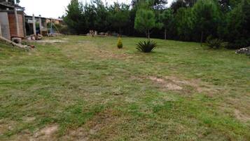 Área da propriedade