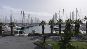 Ein Yachthafen mit zahlreichen Segelbooten, Palmen und blauem Himmel.