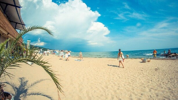 Une plage où l’on voit des gens se promener, des palmiers et un ciel dégagé.