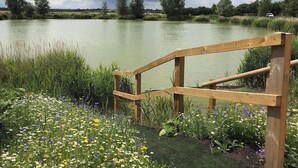 Un banco de madera con vistas a un lago, con un primer plano de césped y flores silvestres.