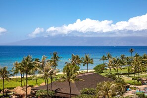 A resort with a pool, palm trees, and a view of the ocean.