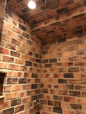 Combined shower/bathtub, rainfall showerhead, hair dryer, towels - Gorgeous Escape-No Steps/gravel, PWC Lift-Lakefront by Kinderhook/Golf/ballpark (Camdenton)