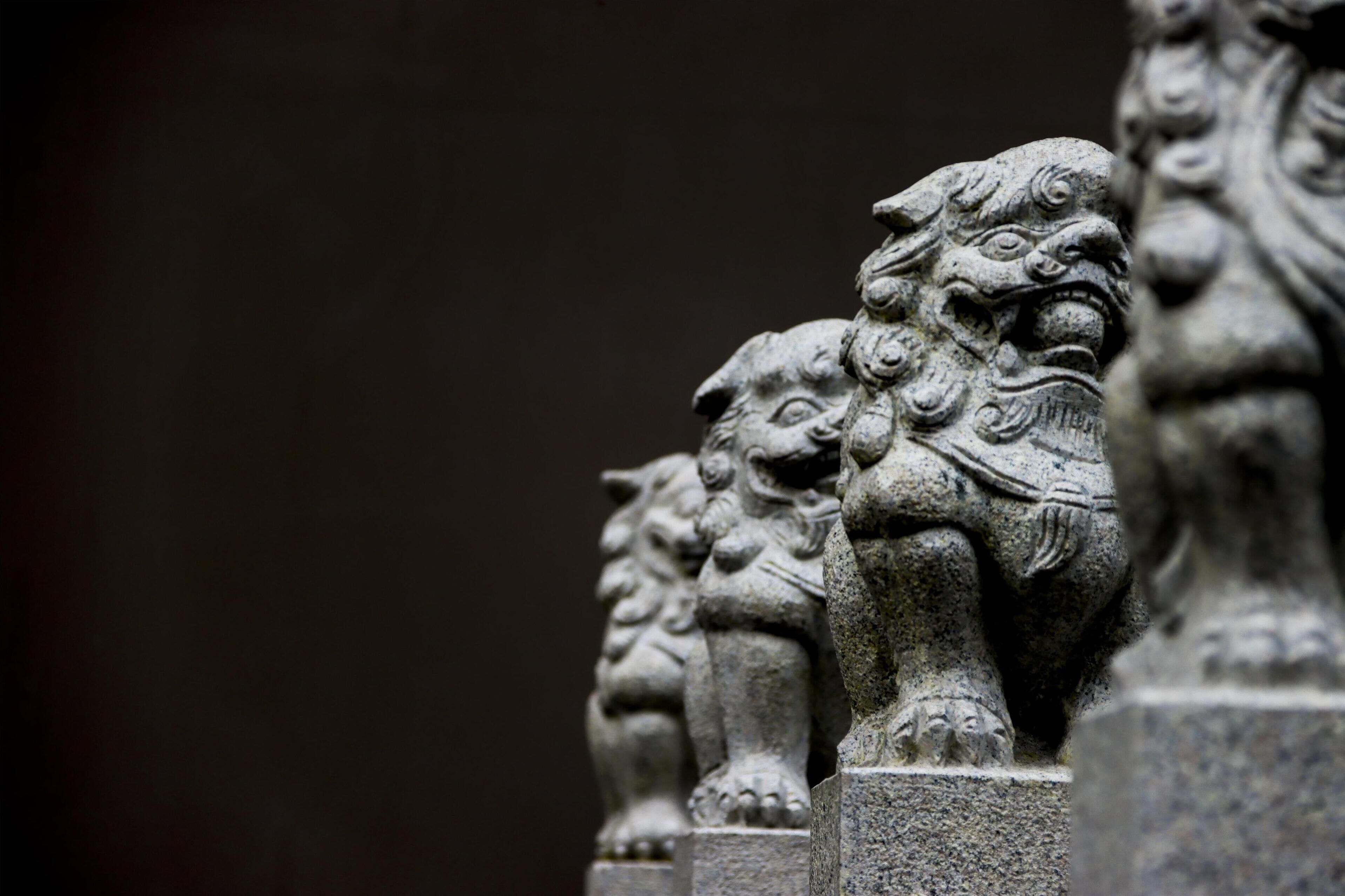 A close-up of a stone lion statue, part of a larger architectural structure.