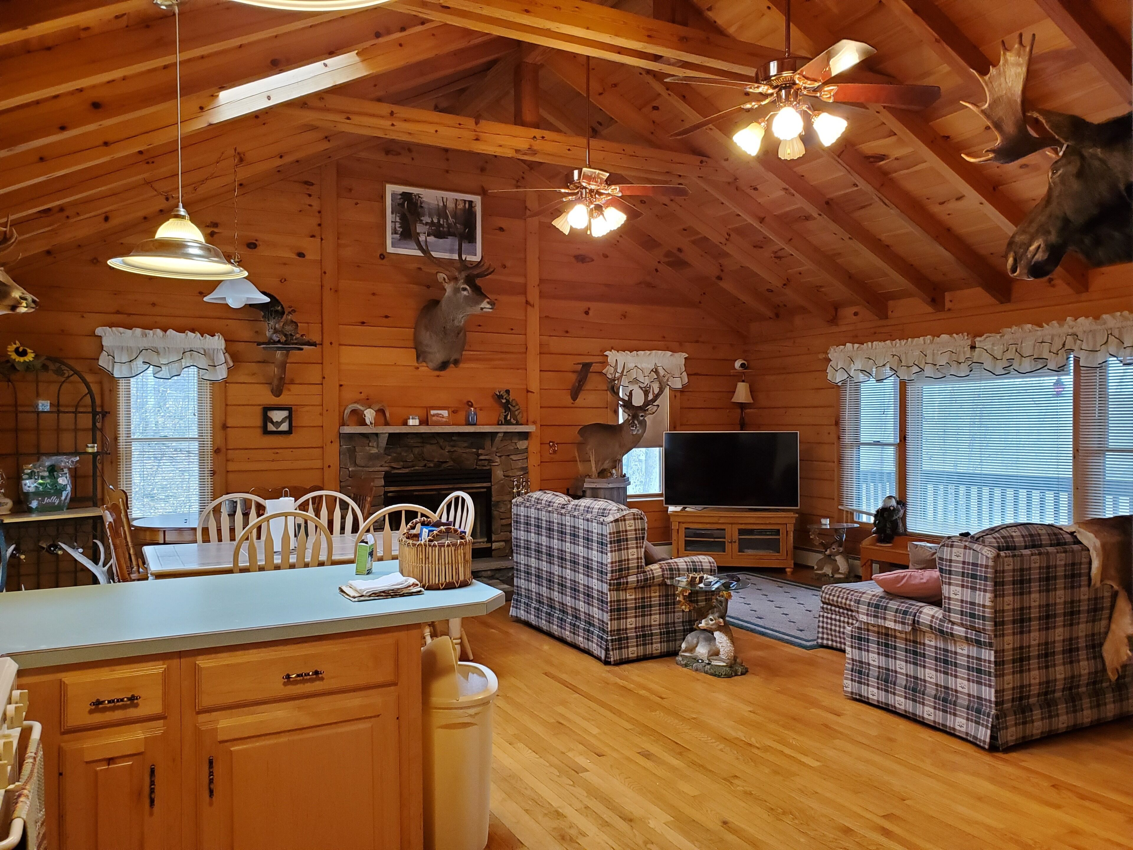 Mountain sanctuary.  3 bedroom country getaway in the Poconos. 18+ acres